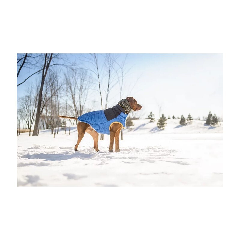 GF Pet Hundemäntel GF Pet Scout Jacke blau XXS