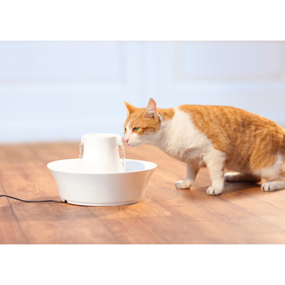 PetSafe Trinkbrunnen PetSafe Drinkwell Keramik Trinkbrunnen Avalon 2 Liter