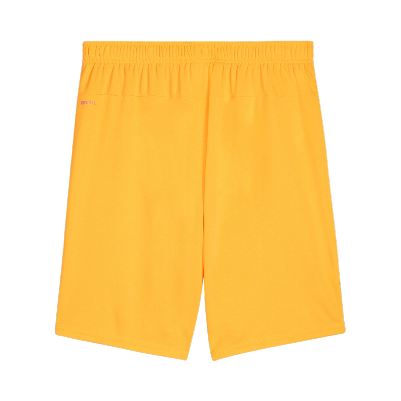 PUMA teamGOAL Short Orange Schwarz F61