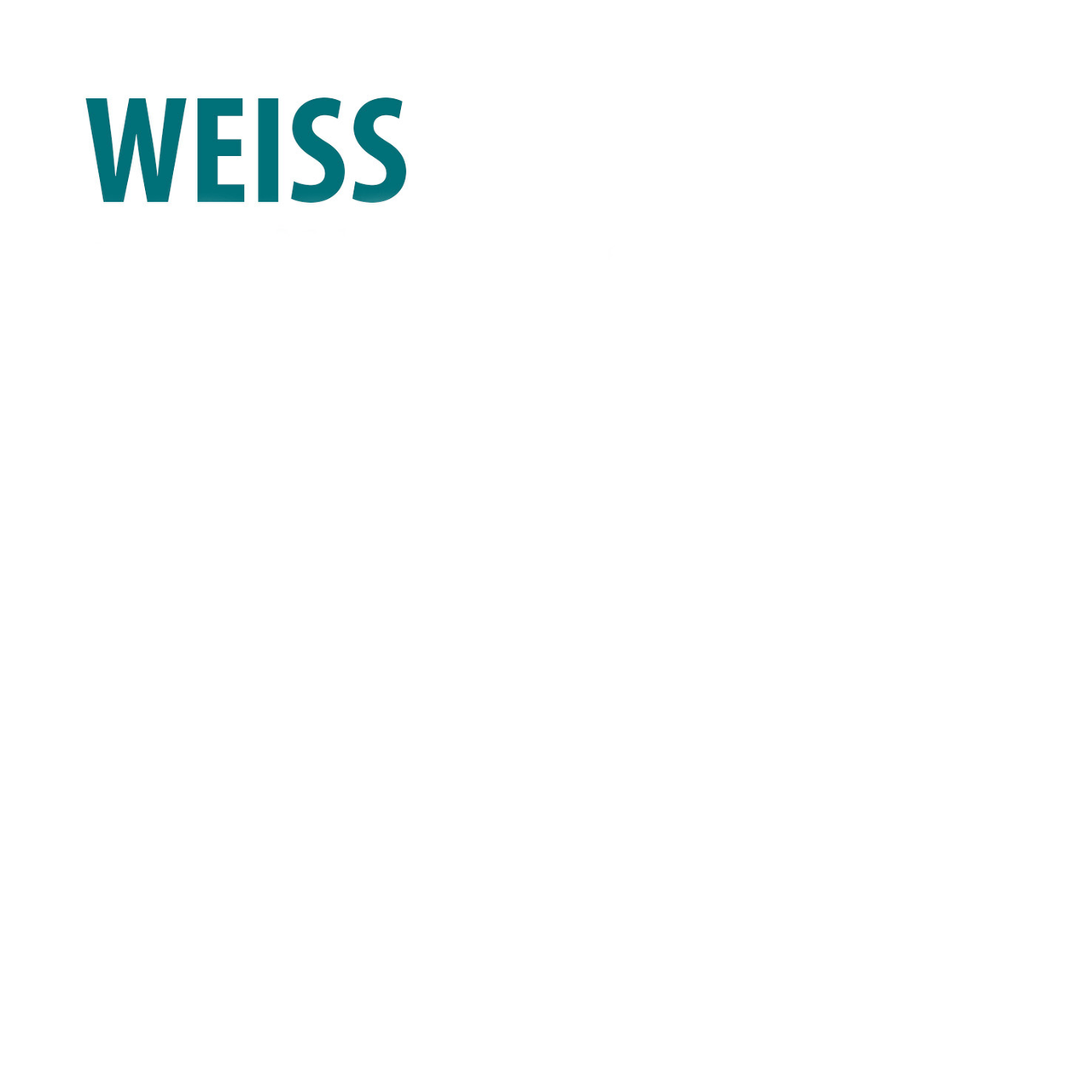 Baufix professional Isoliergrund weiß