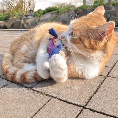 Aumüller Baldrian-Katzenspielkissen Patchwork-Eule