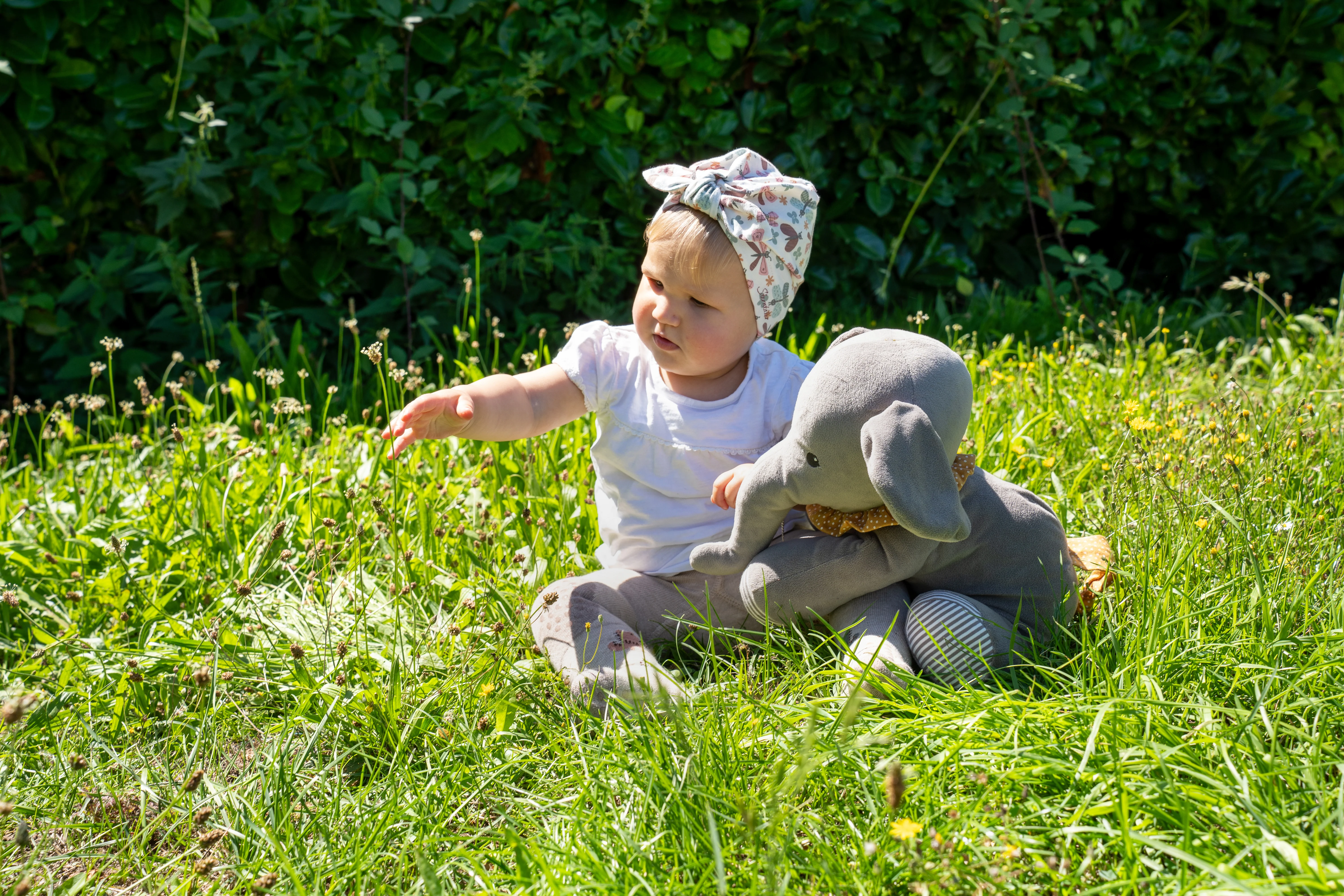 Sternchen Kuscheltier Elefant Eddy ohne Rassel