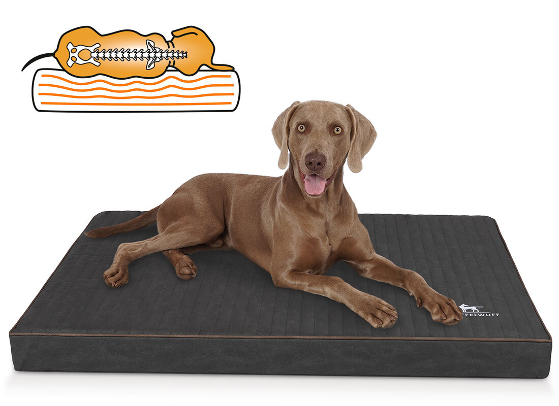 Knuffelwuff Hundematten Knuffelwuff orthopädische Hundematte Palomino aus laser-gestepptem Kunstleder schwarz XXL