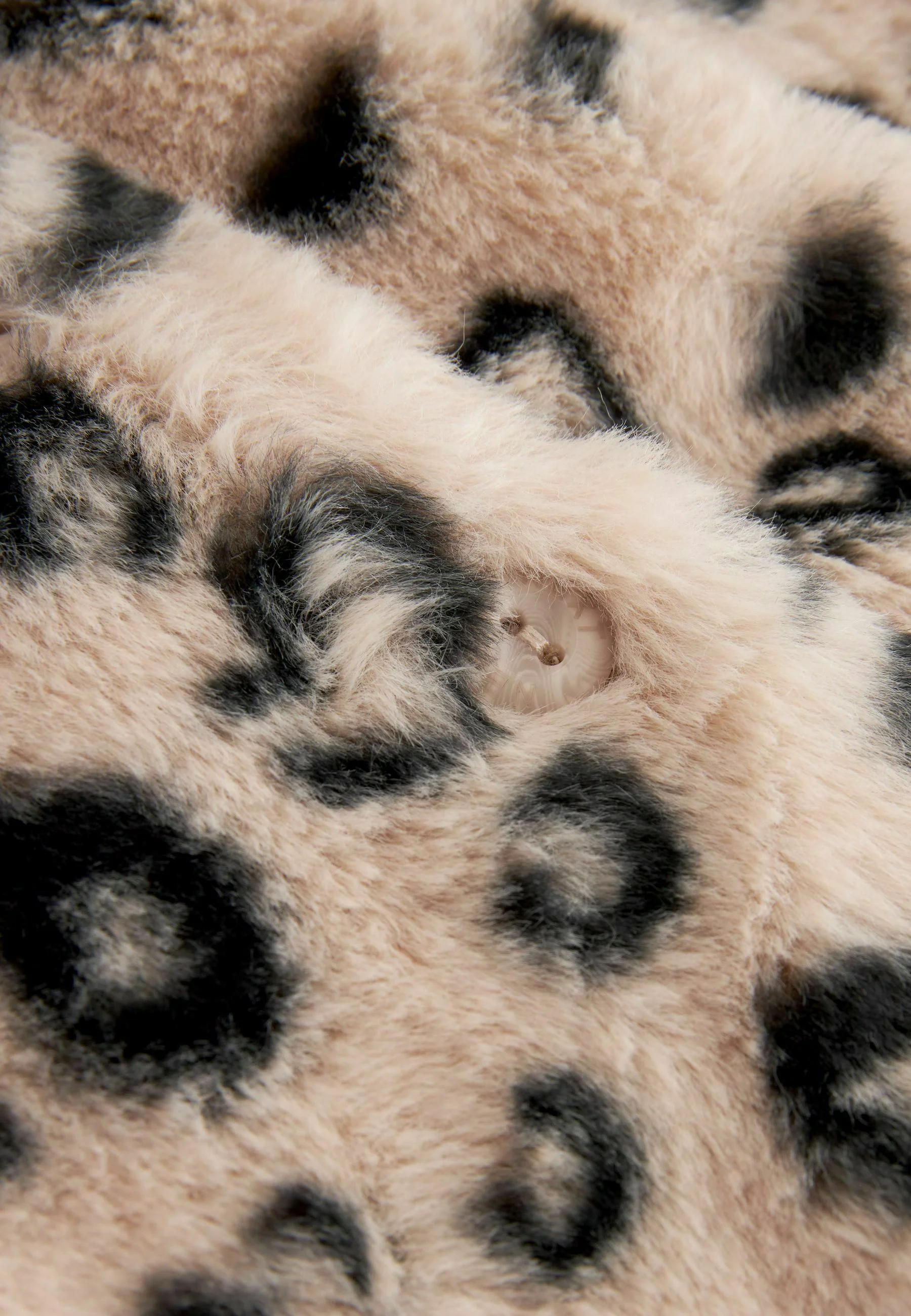 Próximo EARS COSY - Abrigo de invierno