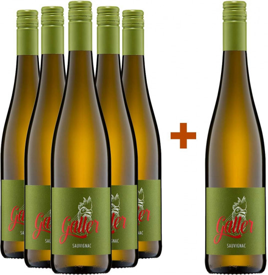 5+1 Paket Sauvignac trocken Bio - Weingut Galler