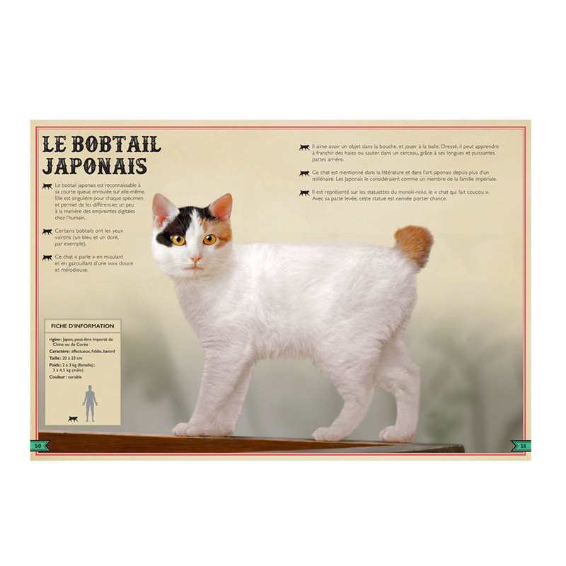 Livre Le livre extraordinaire des chats - Little Urban