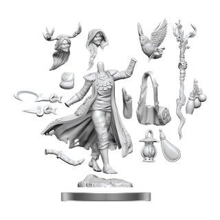 D&D Frameworks: Human Druid Female