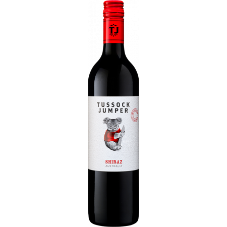 KOALA SHIRAZ 2021 - TUSSOCK JUMPER