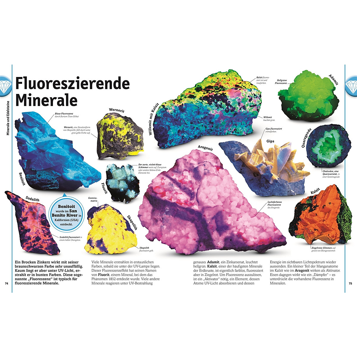 Steine: Minerale, Edelsteine und Fossilien in über 1000 Bildern