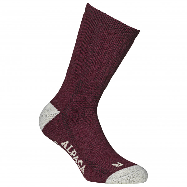 Alpacasocks&Co - Alpacasocks 3-Pack - Expeditionssocken