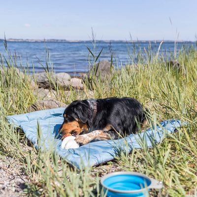Trixie Samoa Classic Reisedecke