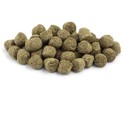 VITA Special Adult Zwergkaninchen