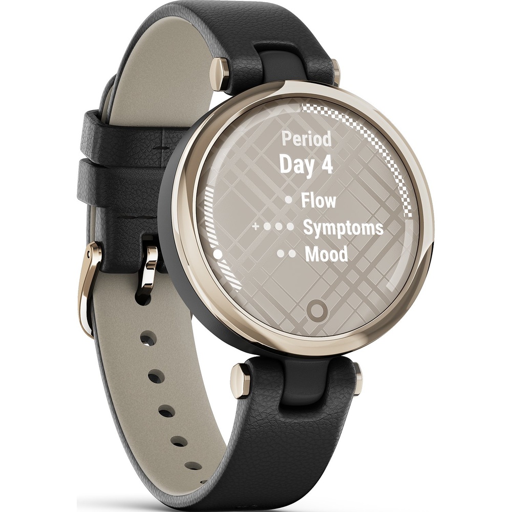 Garmin Montre intelligente Matière synthétique, Acier inoxydable Montre