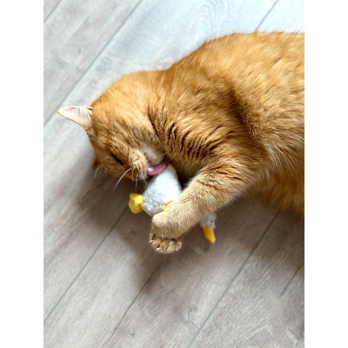Aumüller Katzenspielkissen Gilbert Gans kaufen