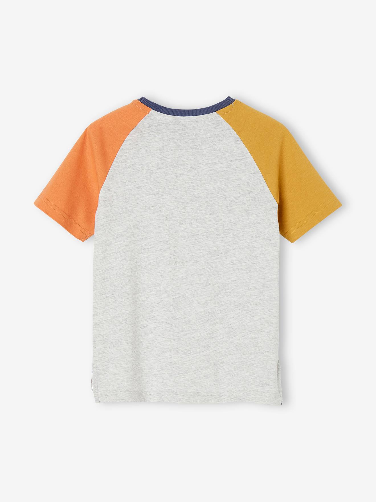 Tee-shirt motif ludique requin surfeur garçon gris chiné