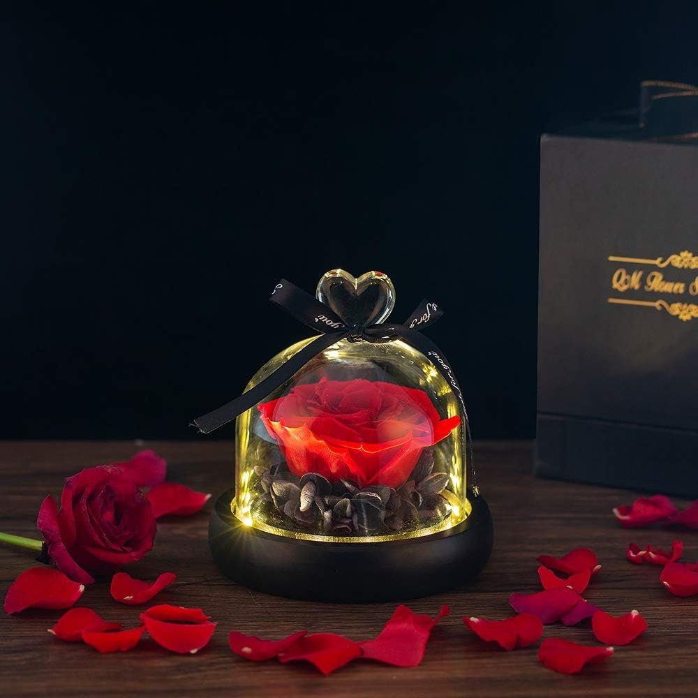 Kunstblume Blume Konservierte Rose Ewige Rose LED Lichterkette Hochzeit, AKKEE, Höhe 13 cm, Geschenke für Valentinstag, Muttertag, Jubiläum, Weihnachtstag