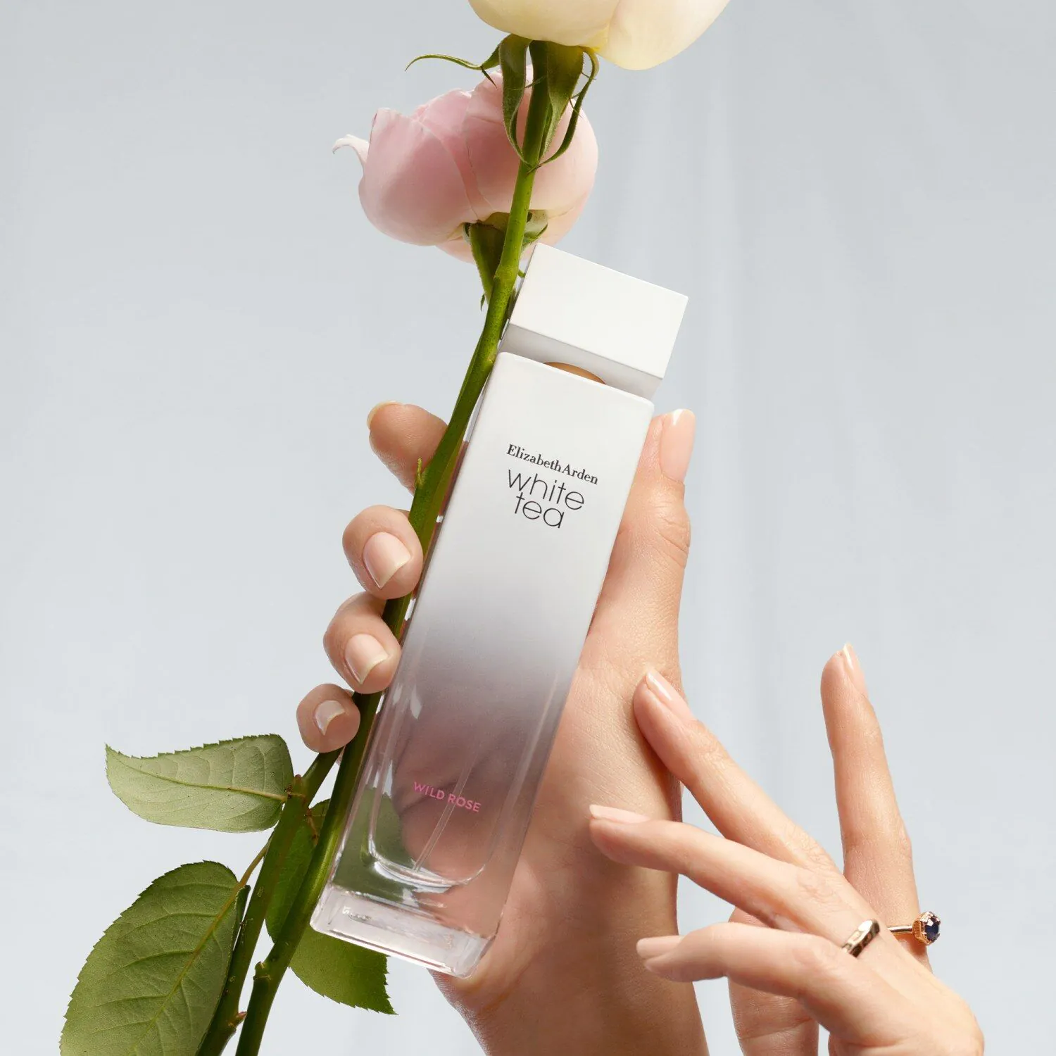 Elizabeth Arden Hvid Te Vild Rose Eau de Toilette til Kvinder 100 ml