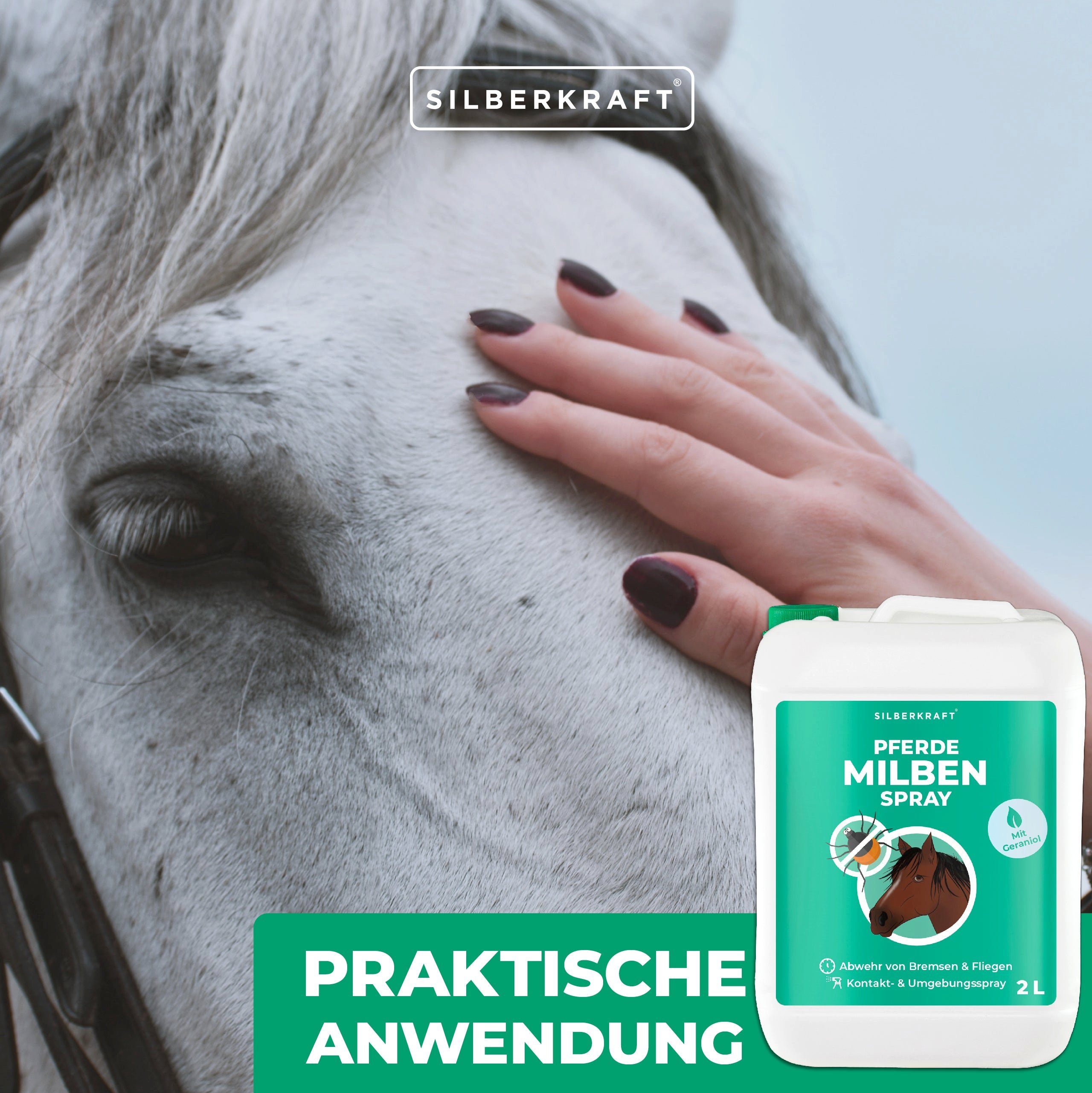 Silberkraft Insektenspray Milbenspray Pferde, 500 ml, 1-St.