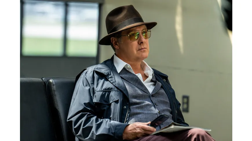 The Blacklist - Die komplette neunte Season  [5 DVDs]