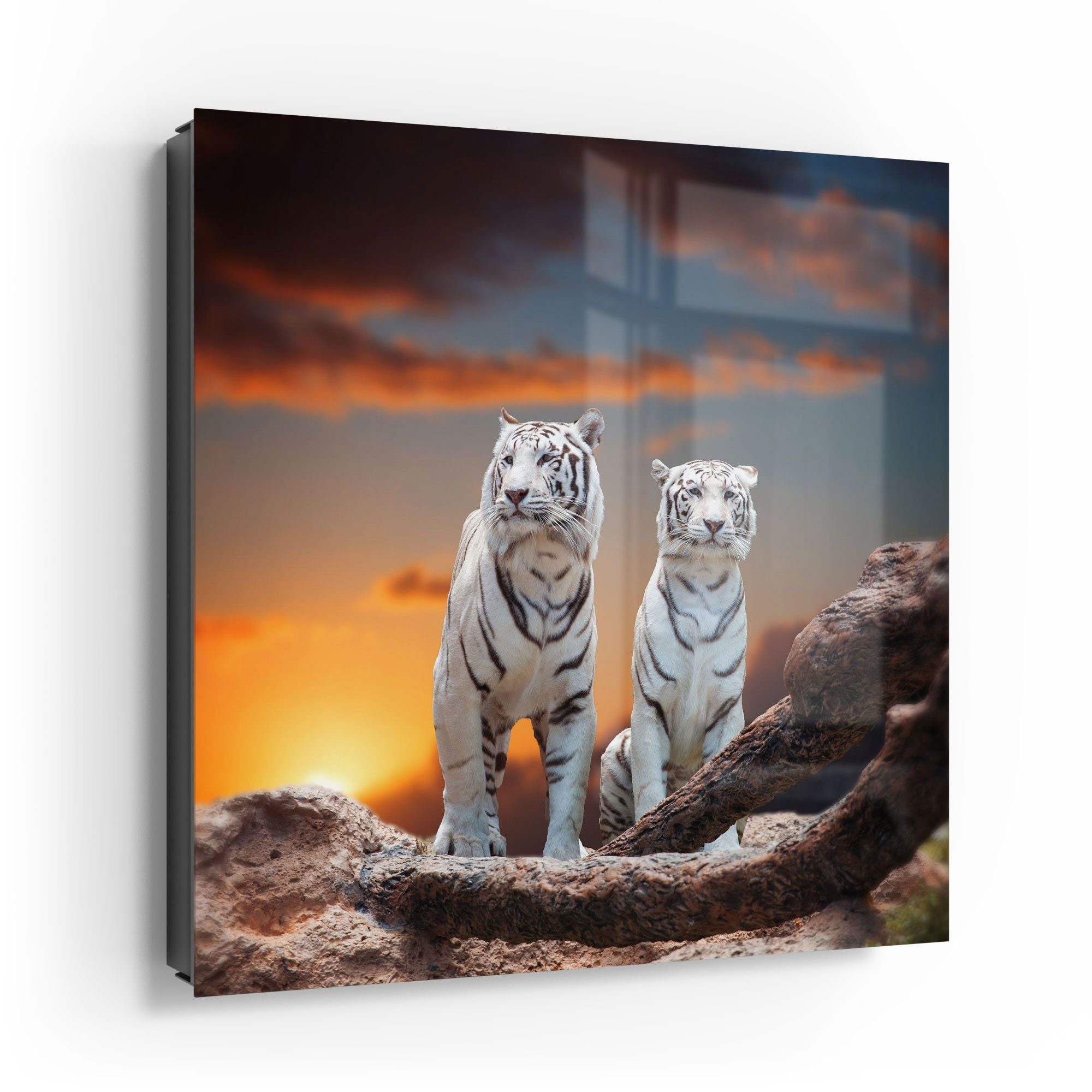 DEQORI Schlüsselkasten 'Weiße Tiger im Abendlicht', Glas Schlüsselbox modern magnetisch beschreibbar