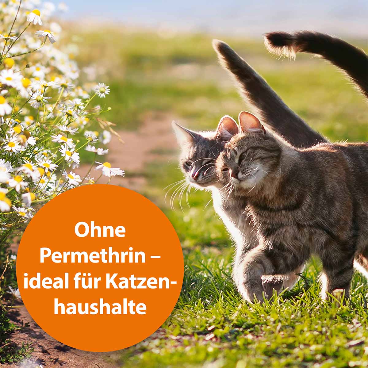 ARDAP GREEN Milbenspray 400ml günstig kaufen bei ZooRoyal