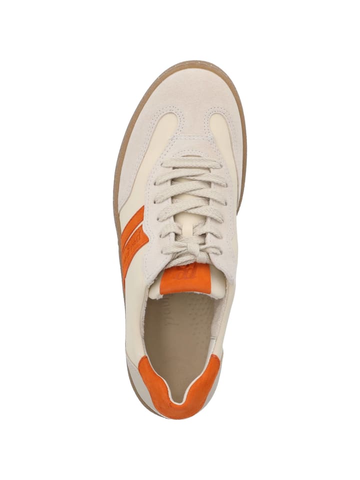 Paul Green Schnürschuhe in shell/biscuit günstig kaufen