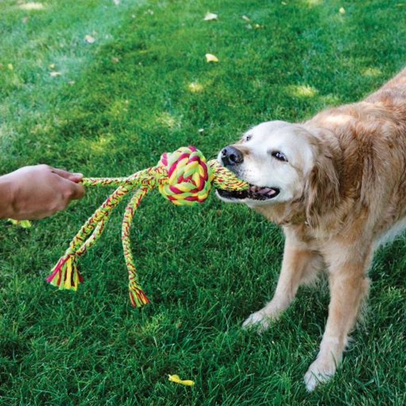KONG Wubba Weaves zu TOP-Preisen