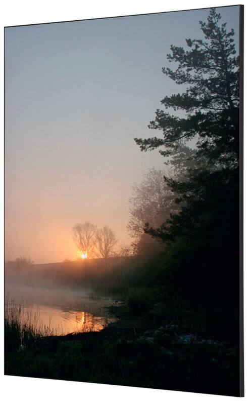 SHOWDOWN Textile Wanddekoration Wald Sonnenaufgang Mehrfarbig Aluminium