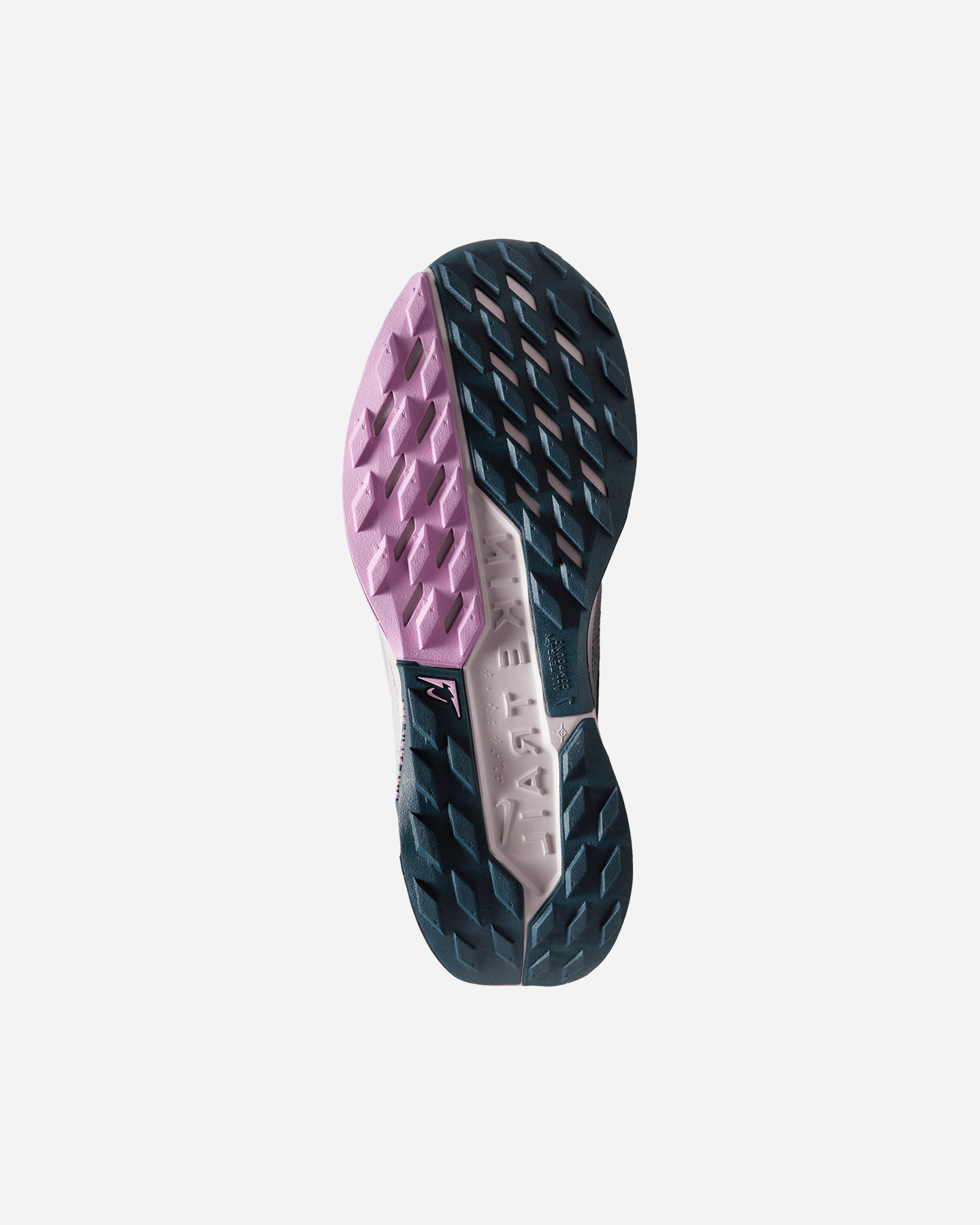 Buty sportowe Nike Pegasus Trail 5 Gore Tex W FQ0912-400