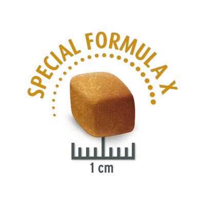 Concept for Life Medium Sterilised