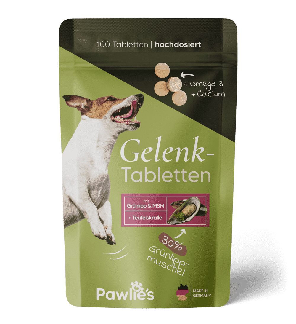 Pawlie's Ergänzungsfutter & Aufzucht Pawlie's Gelenk Fit Tabletten Hund (100 Stück)