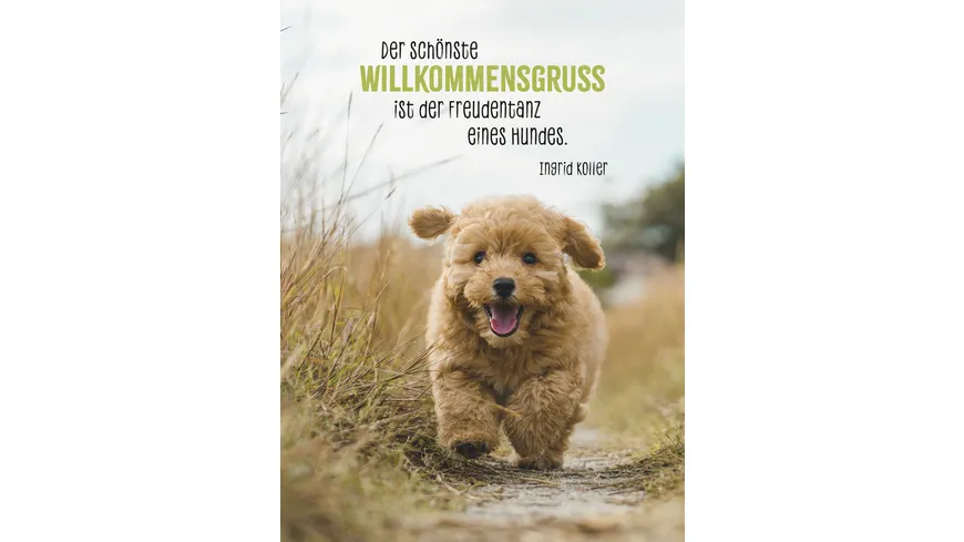 Hunde sind die besten Freunde