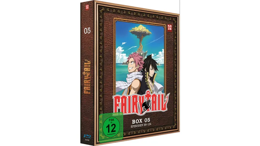 Fairy Tail - TV-Serie - Box 5  (Episoden 99-124)  [4 DVDs]