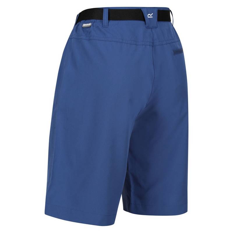 Regatta Xert It Shorts Damen
