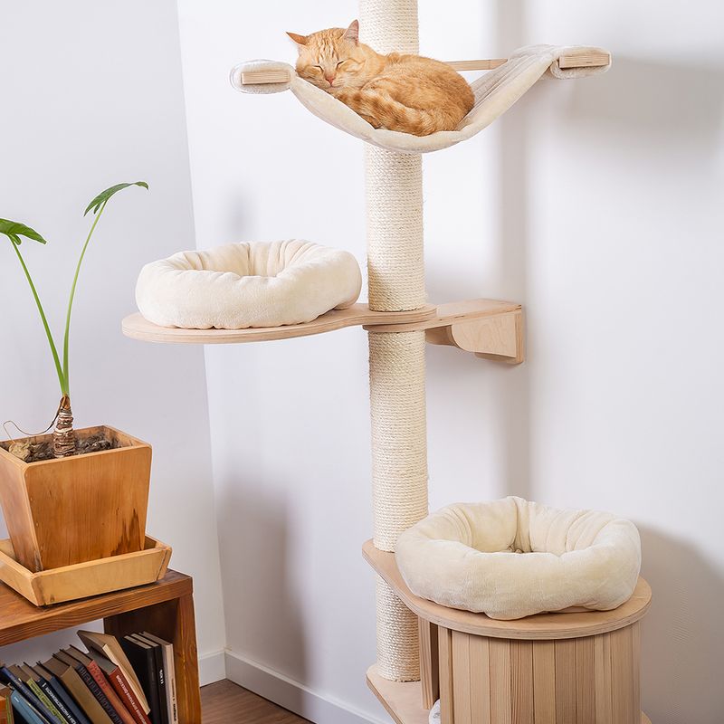 Natural Paradise Wandkratzbaum Magnolia zu TOP-Preisen | bitiba %