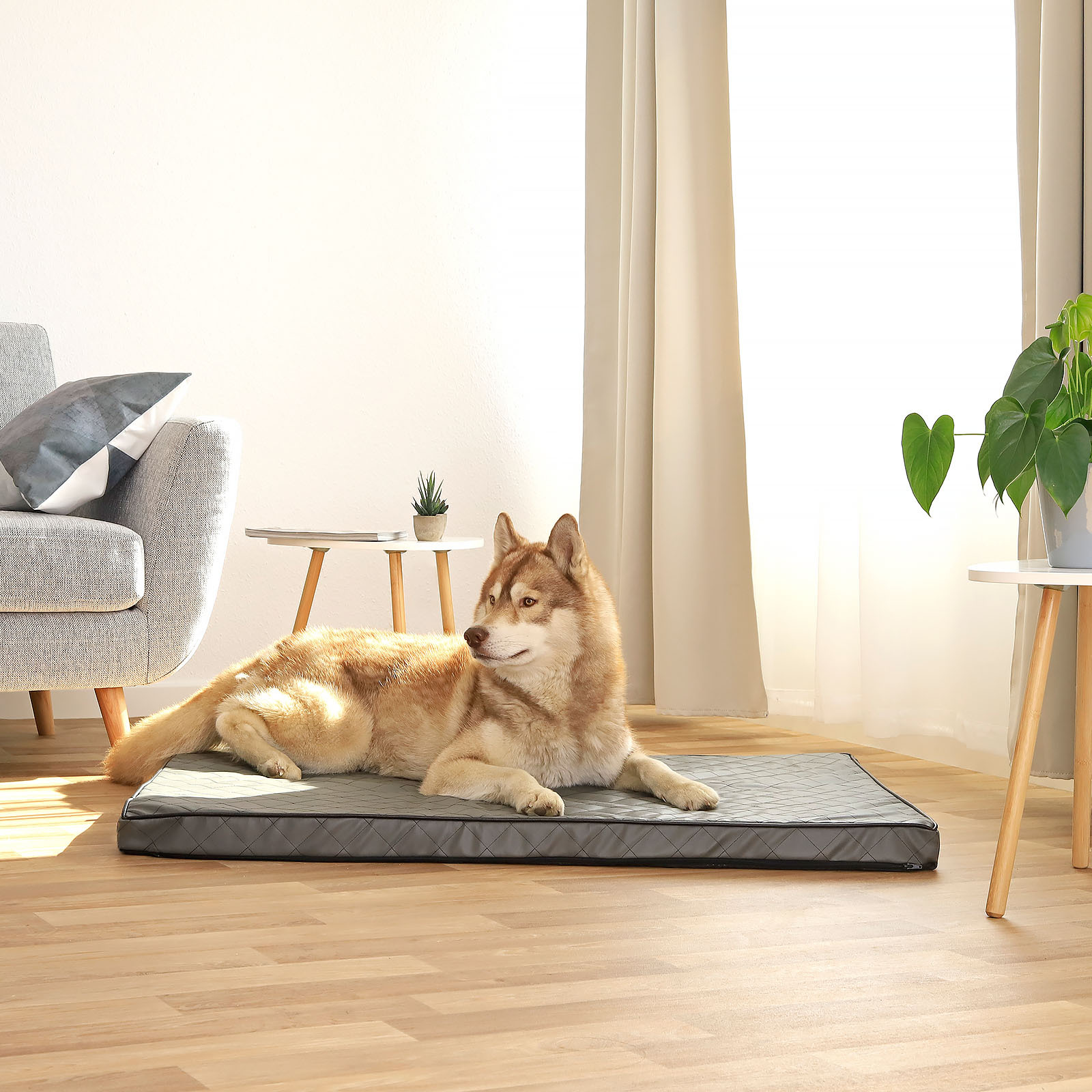 Lionto Hundebetten Lionto Orthopädische Hundematte XL