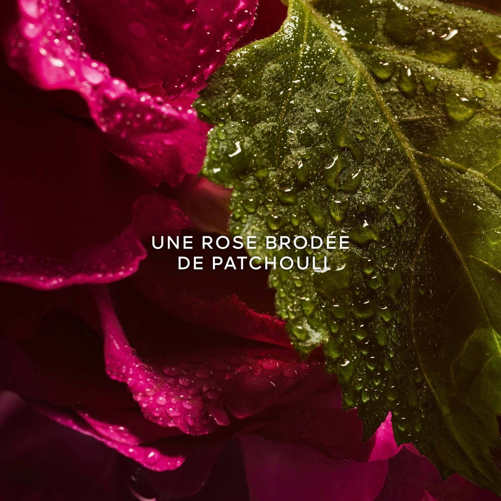 Guerlain La Petite Robe Noire Eau de Parfum Absolue