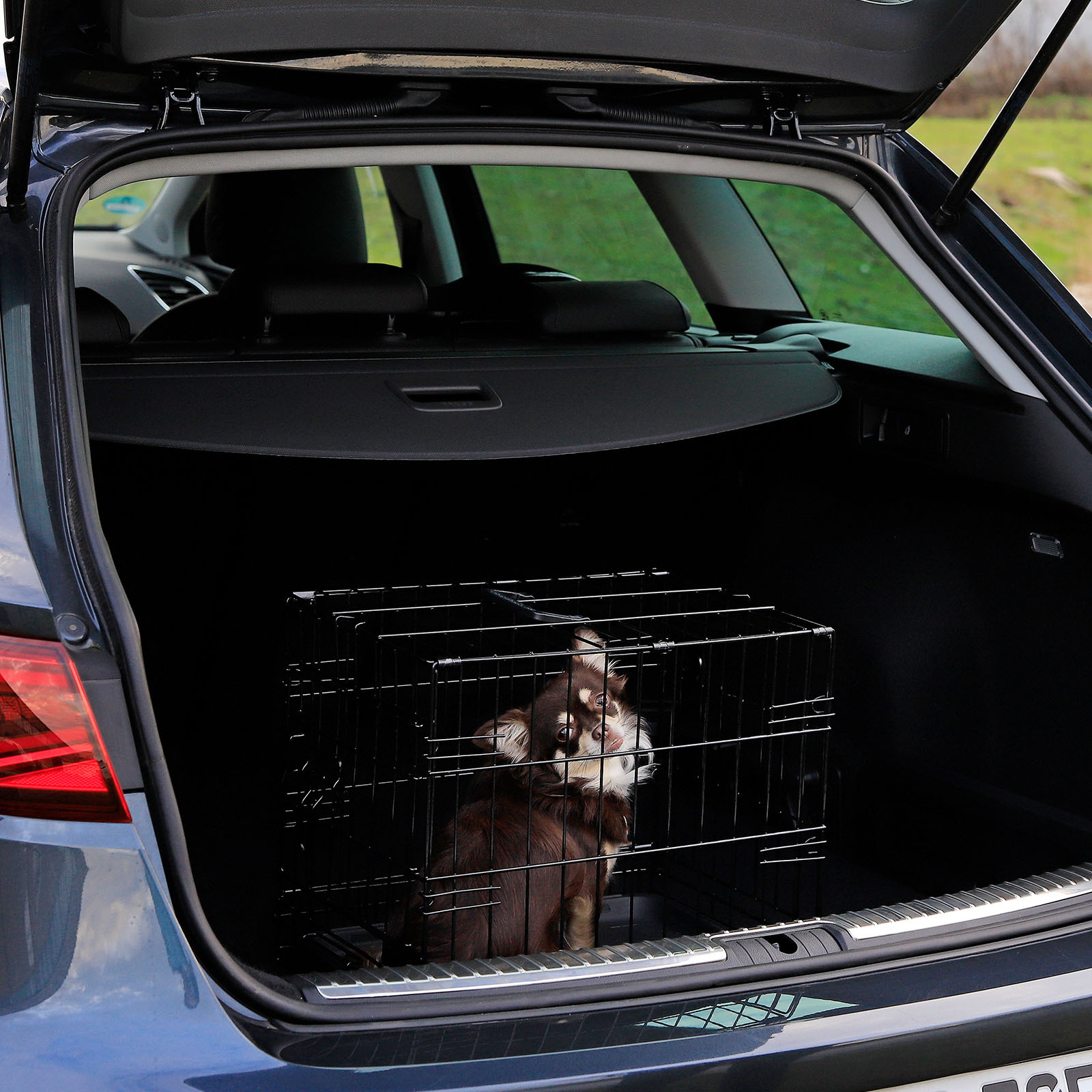 Lionto Transportboxen & Gitterboxen Lionto Hundetransportkäfig Tiertransportbox Hundebox Größe (S) 45x31x36 cm S
