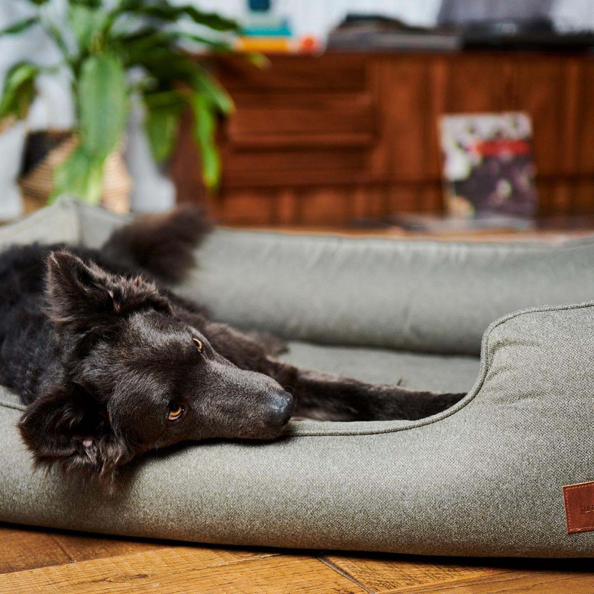 furrysoul orthopädisches Hundebett Lian anthrazit bei ZooRoyal
