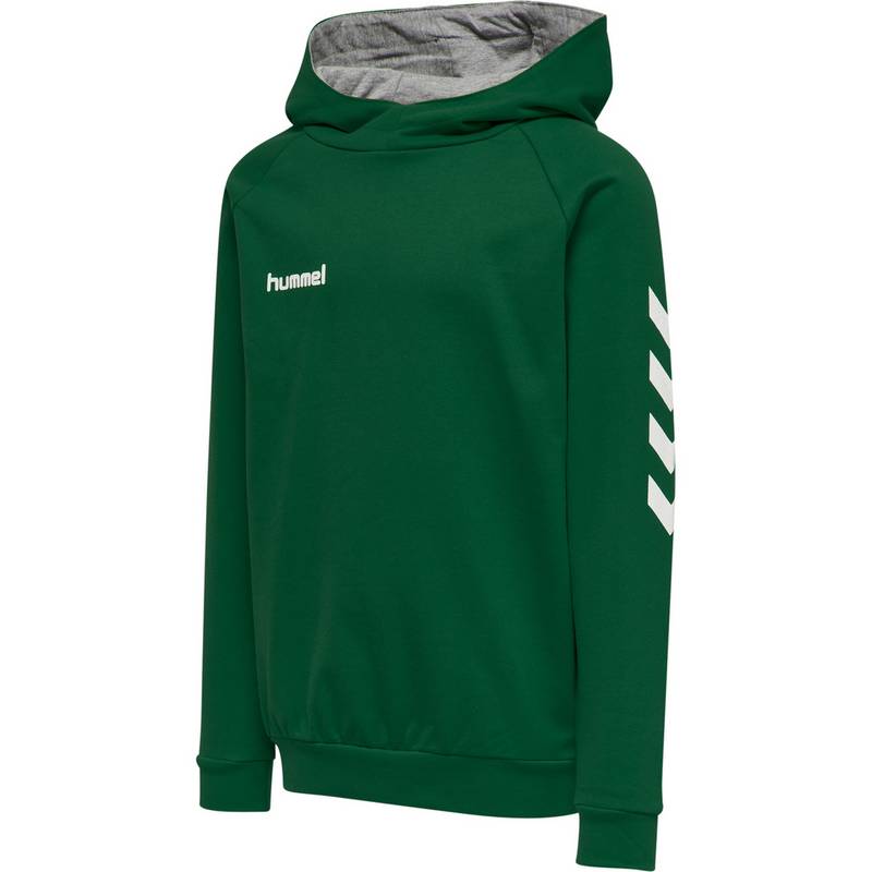 hummel HMLGO KIDS COTTON HOODIE Hoodie Kinder