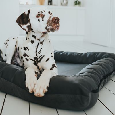 HUNTER Hundebett Bologna, schwarz
