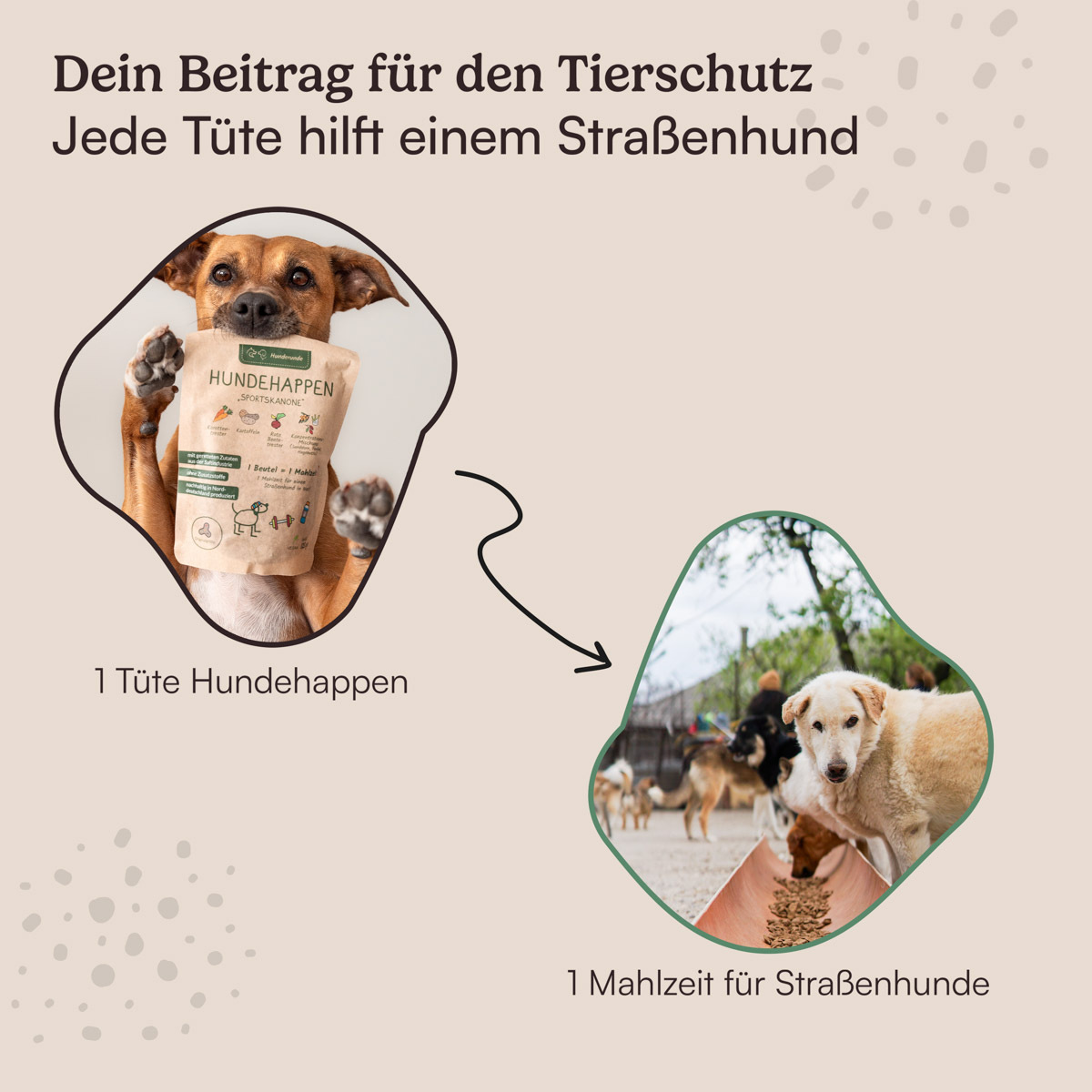 Hunderunde Snacks Hunderunde Probierpaket vegane Snacks