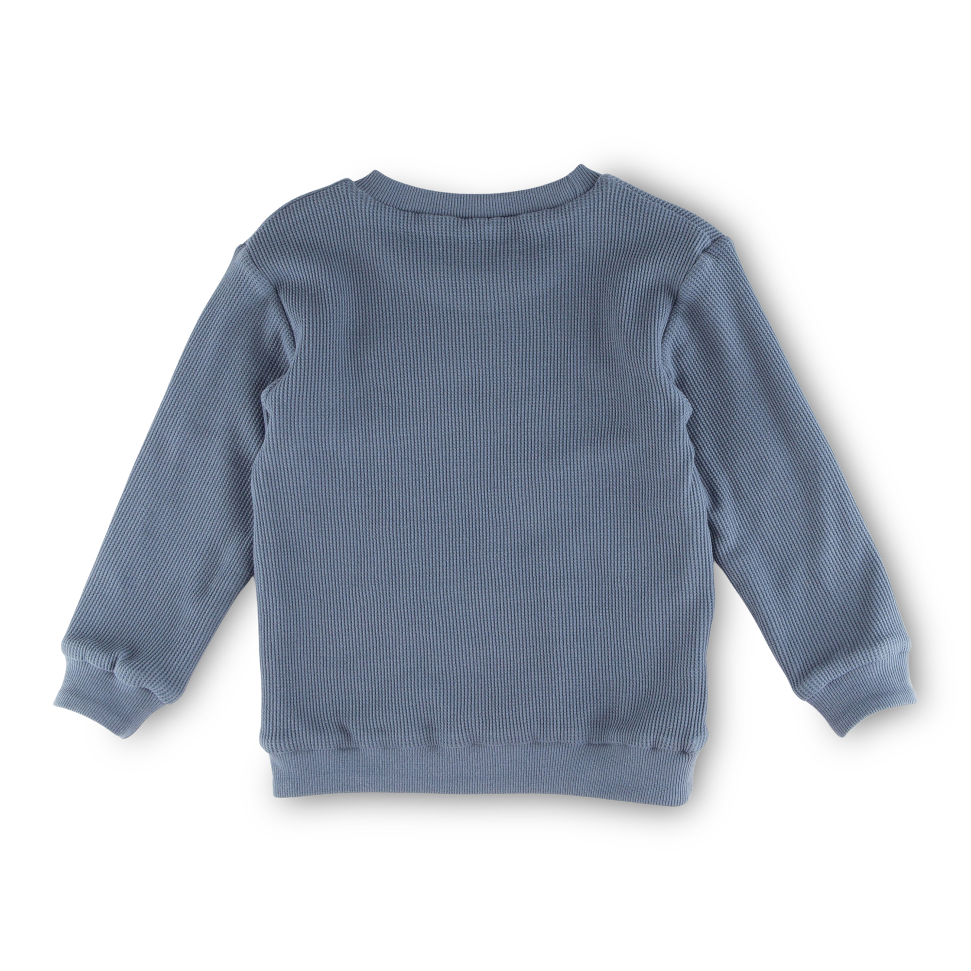 Kinder Langarm Wendeshirt Forest Adventure, blau oder gr