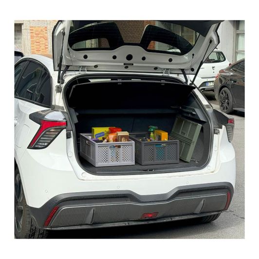 Ladă de depozitare pliabilă 40L