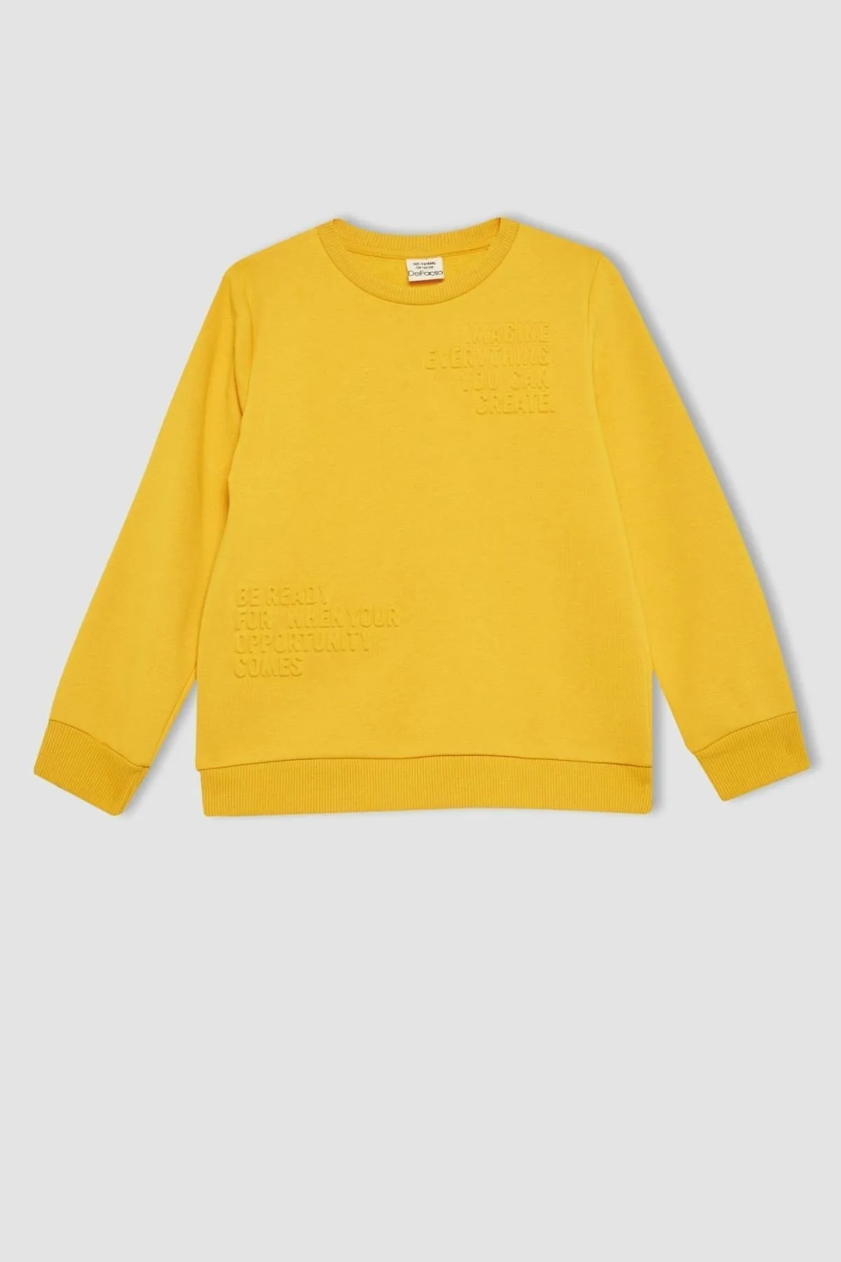 DeFacto  Jungen-Sweatshirt mit Rundhalsausschnitt