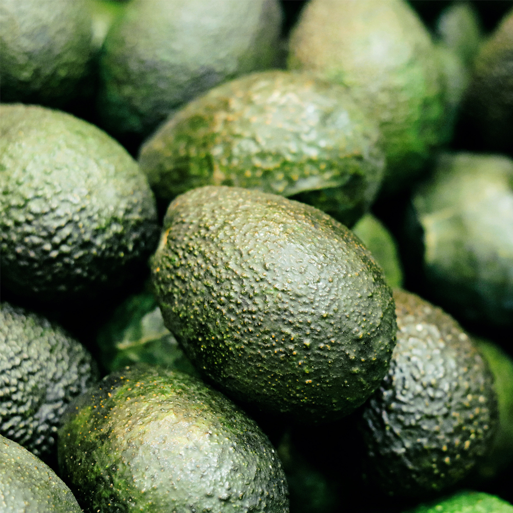 Rausch Farbschutz-Shampoo mit Avocado 200 ml