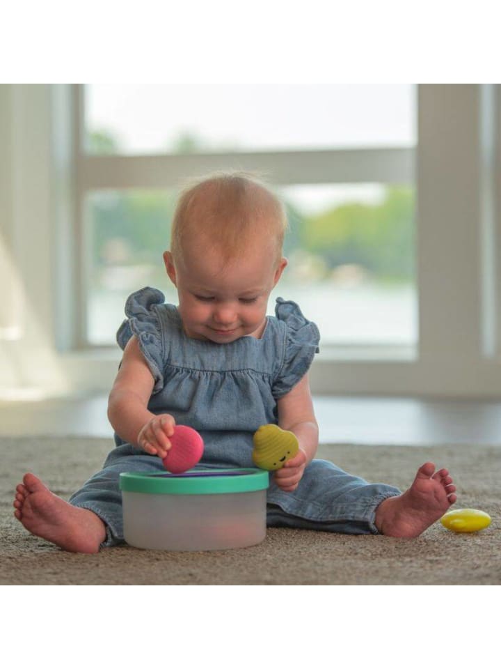 Sassy Lernspielzeug Früchte-Sorter für Kinder ab 6 Monate-  Farben & Zählen lernen günstig kaufen onesize