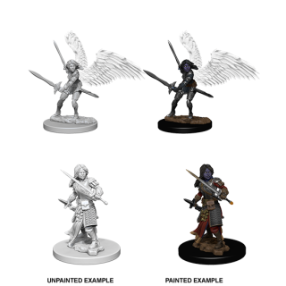 Aasimar Female Paladin: Nolzurs Marvelous Unpainted Minis