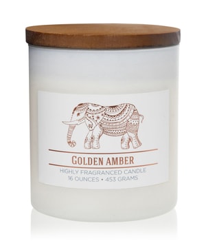 Colonial Candle Wellness Golden Amber Duftkerze-453 g