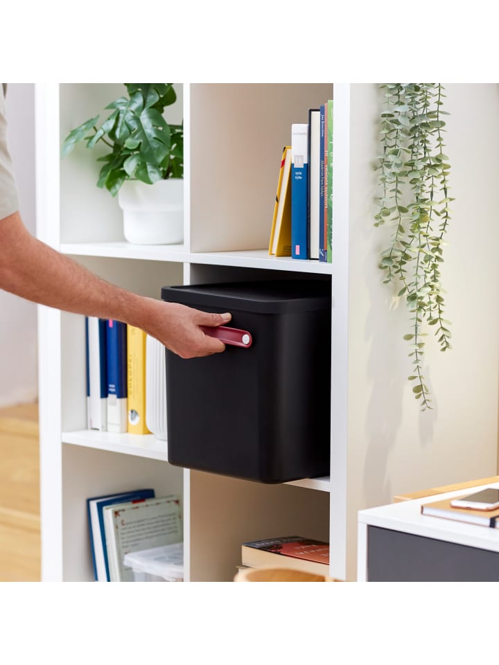 Rotho Archivbox Dokumentenorganizer MY PAPER Plus günstig kaufen onesize